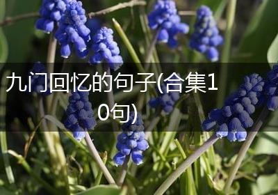 九门回忆的句子(合集10句)