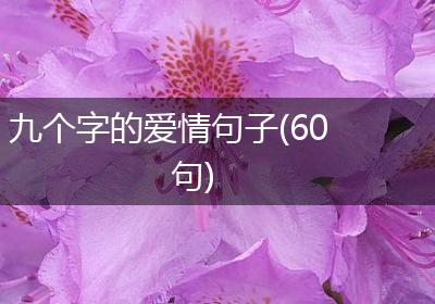 九个字的爱情句子(60句)