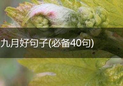 九月好句子(必备40句)