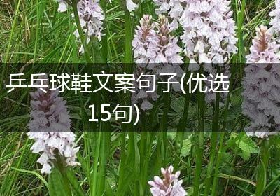 乒乓球鞋文案句子(优选15句)