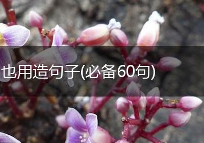 也用造句子(必备60句)