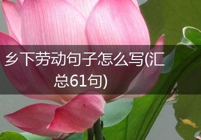 乡下劳动句子怎么写(汇总61句)