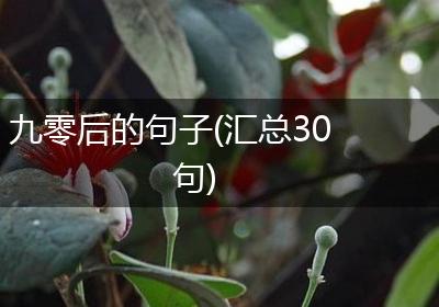 九零后的句子(汇总30句)