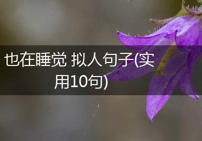 也在睡觉 拟人句子(实用10句)