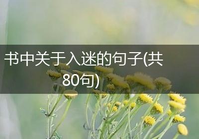 书中关于入迷的句子(共80句)