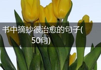 书中摘抄很治愈的句子(50句)