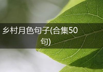乡村月色句子(合集50句)