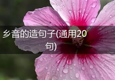 乡音的造句子(通用20句)