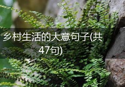 乡村生活的大意句子(共47句)
