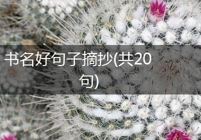 书名好句子摘抄(共20句)