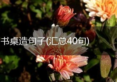 书桌造句子(汇总40句)
