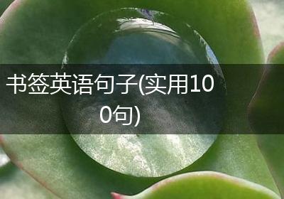 书签英语句子(实用100句)