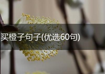 买橙子句子(优选60句)