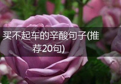 买不起车的辛酸句子(推荐20句)