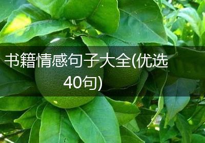 书籍情感句子大全(优选40句)