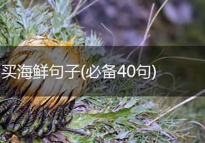 买海鲜句子(必备40句)