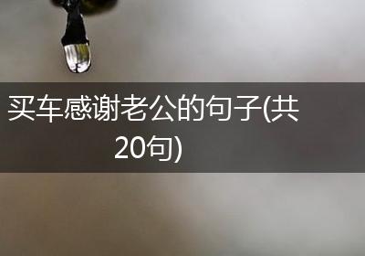 买车感谢老公的句子(共20句)