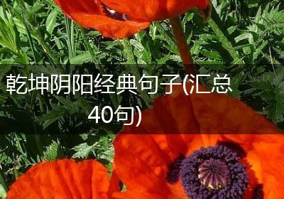 乾坤阴阳经典句子(汇总40句)