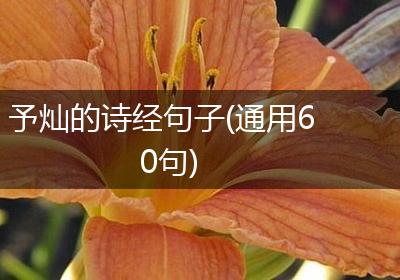 予灿的诗经句子(通用60句)