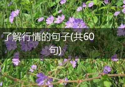 了解行情的句子(共60句)
