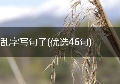 乱字写句子(优选46句)