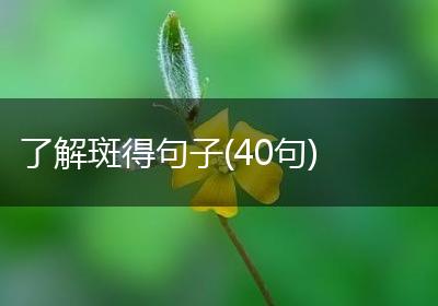 了解斑得句子(40句)