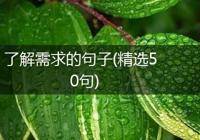 了解需求的句子(精选50句)