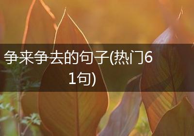 争来争去的句子(热门61句)