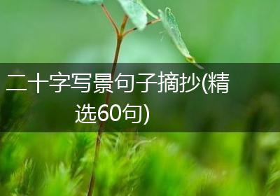 二十字写景句子摘抄(精选60句)