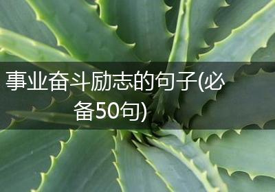 事业奋斗励志的句子(必备50句)