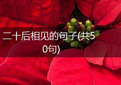 二十后相见的句子(共50句)