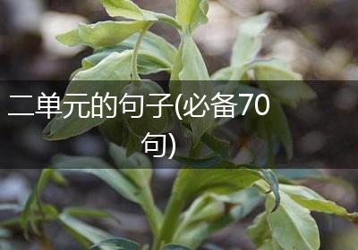 二单元的句子(必备70句)
