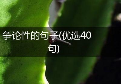 争论性的句子(优选40句)