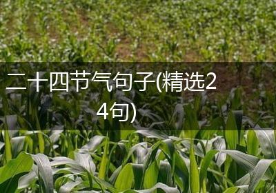 二十四节气句子(精选24句)