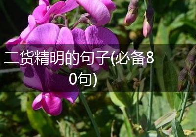 二货精明的句子(必备80句)