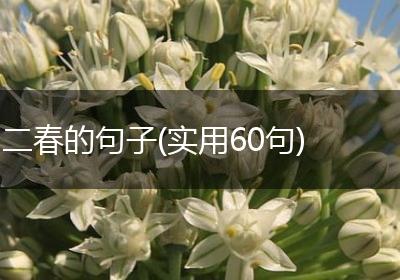 二春的句子(实用60句)