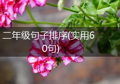 二年级句子排序(实用60句)