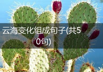 云海变化组成句子(共50句)