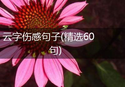 云字伤感句子(精选60句)