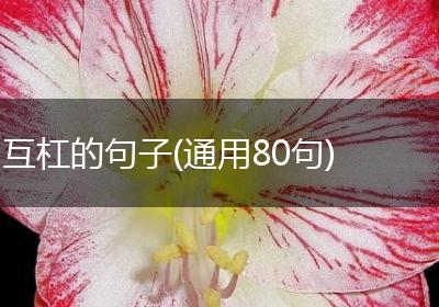 互杠的句子(通用80句)