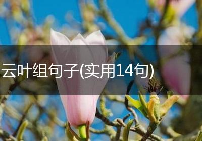 云叶组句子(实用14句)