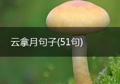 云拿月句子(51句)