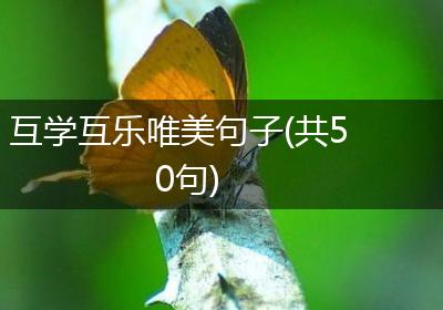 互学互乐唯美句子(共50句)