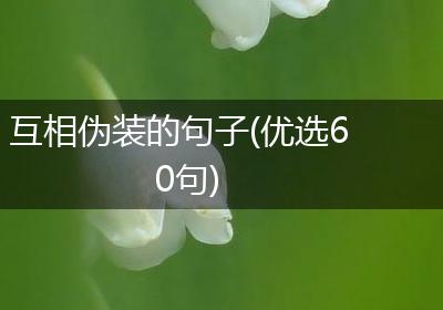 互相伪装的句子(优选60句)
