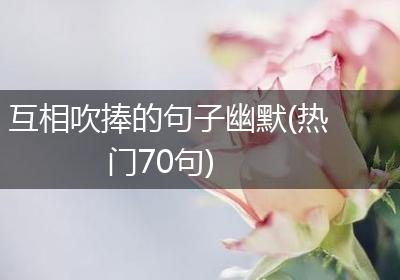 互相吹捧的句子幽默(热门70句)