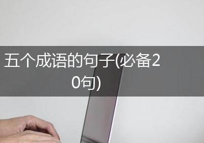 五个成语的句子(必备20句)