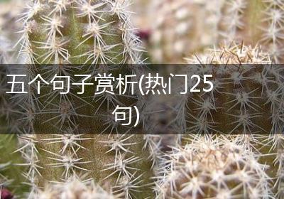 五个句子赏析(热门25句)