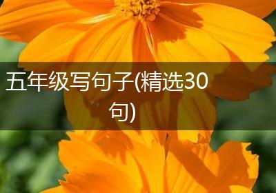 五年级写句子(精选30句)
