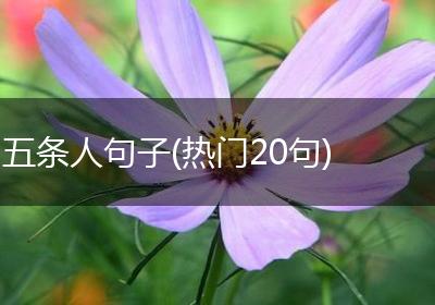 五条人句子(热门20句)