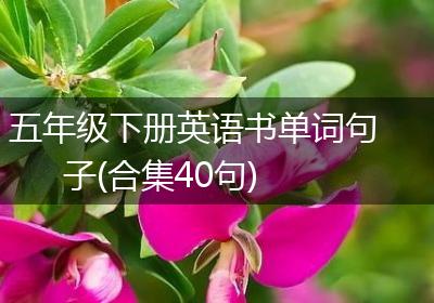 五年级下册英语书单词句子(合集40句)